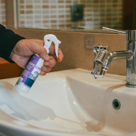 Homeshine 2 Homeshine 2