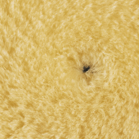 MEDIUM WOOL POLISHING PAD MEDIUM WOOL POLISHING PAD