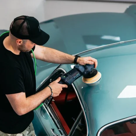 Microtrissa2_700x Microtrissa2_700x