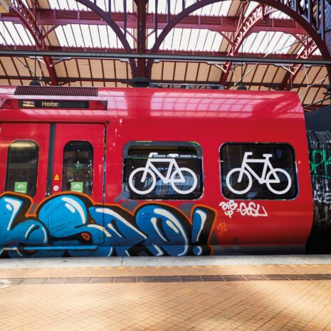 Nasiol Anti-GRM 2 Nasiol Anti-GRM 2