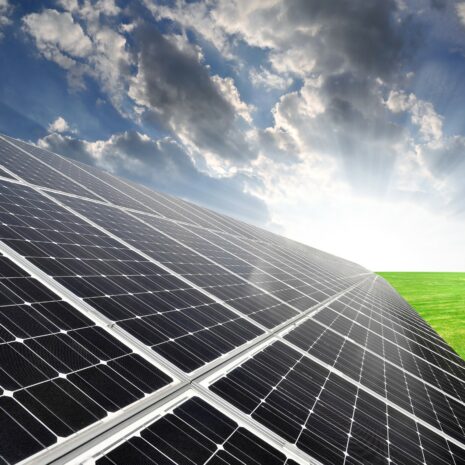 Nasiol C 3 Nasiol C 3