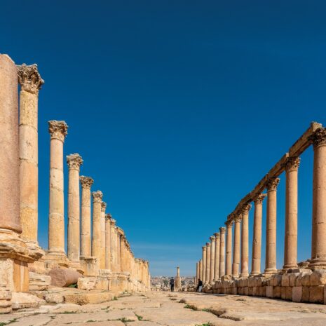 Nasiol Z-WB 5 Nasiol Z-WB 5